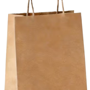 Craft Paper Bag
