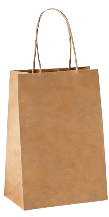 Craft Paper Bag